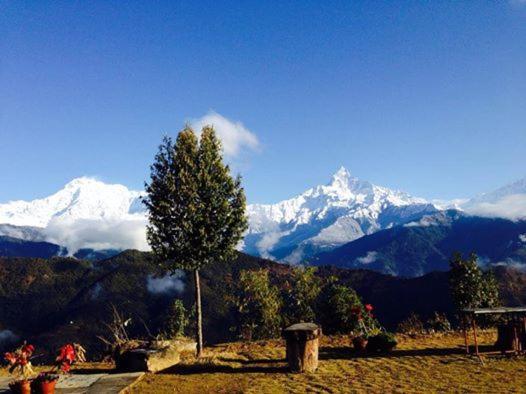 Himalayan Deurali Resort Pókhara Exteriér fotografie
